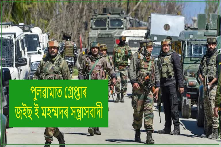 Police arrests 02 JeM terrorist associates in Pulwama