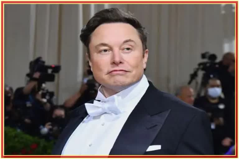 Chief Twit Elon Musk