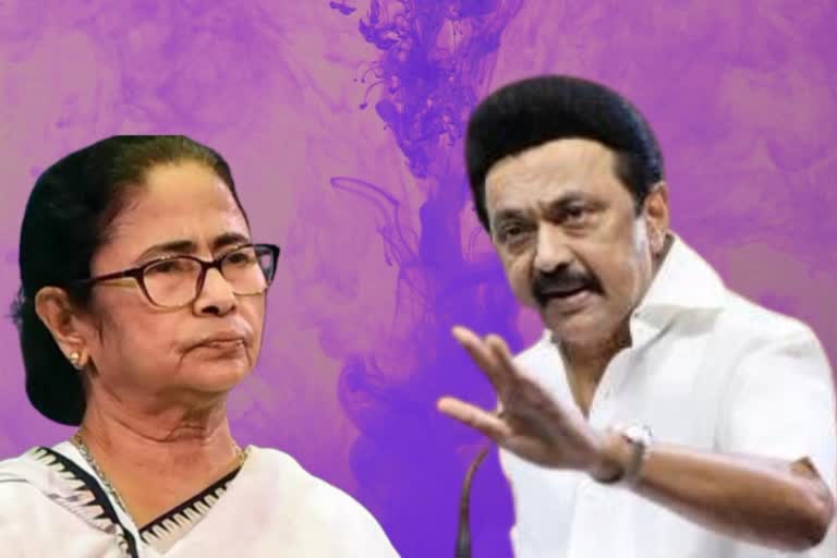 Mamata Banerjee likely to meet Stalin in Chennai tomorrow  മമത ബാനര്‍ജി  മമത ബാനര്‍ജി നാളെ ചെന്നൈയില്‍  കൊല്‍ക്കത്ത വാര്‍ത്തകള്‍  ബംഗാള്‍ മുഖ്യമന്ത്രി മമത ബാനര്‍ജി  തമിഴ്‌നാട് മുഖ്യമന്ത്രി സ്റ്റാലിന്‍