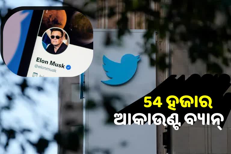 twitter-bans-over-54k-accounts-in-india-for-promoting-sexual-content-terror