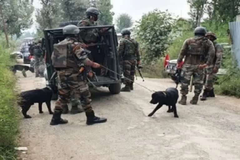4-terrorists-killed-in-terrorist-attack-in-pulwama-and-anantnag