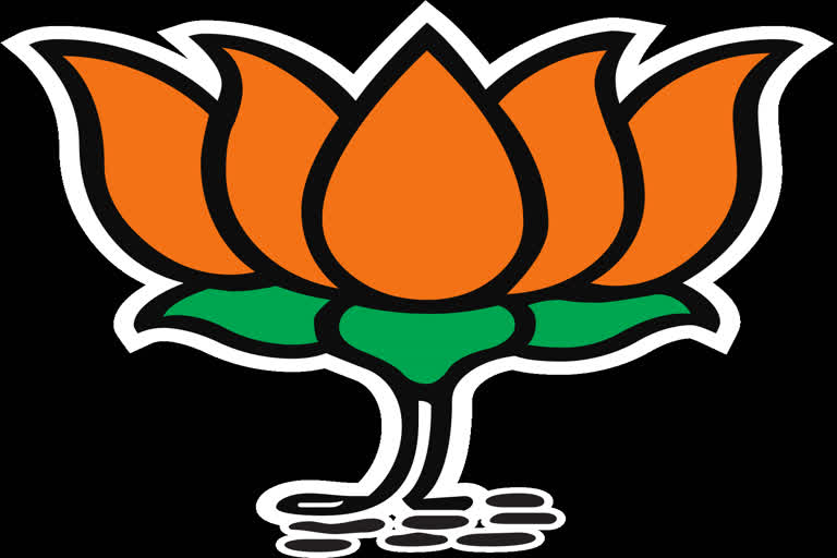 BJP to release vision document