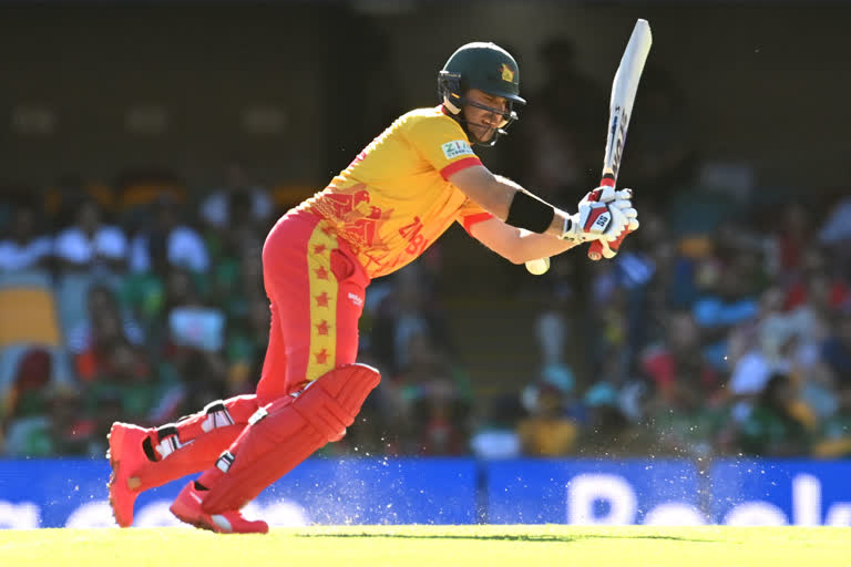 T20 World Cup: Zimbabwe win toss, opt to bat against Netherlands