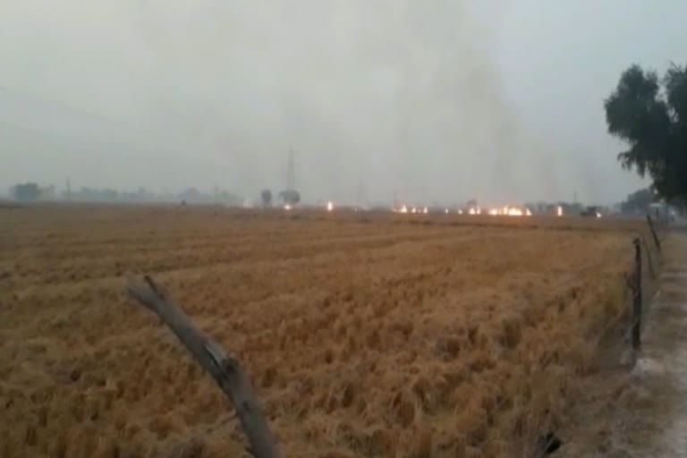 Stubble Burning in Sirsa