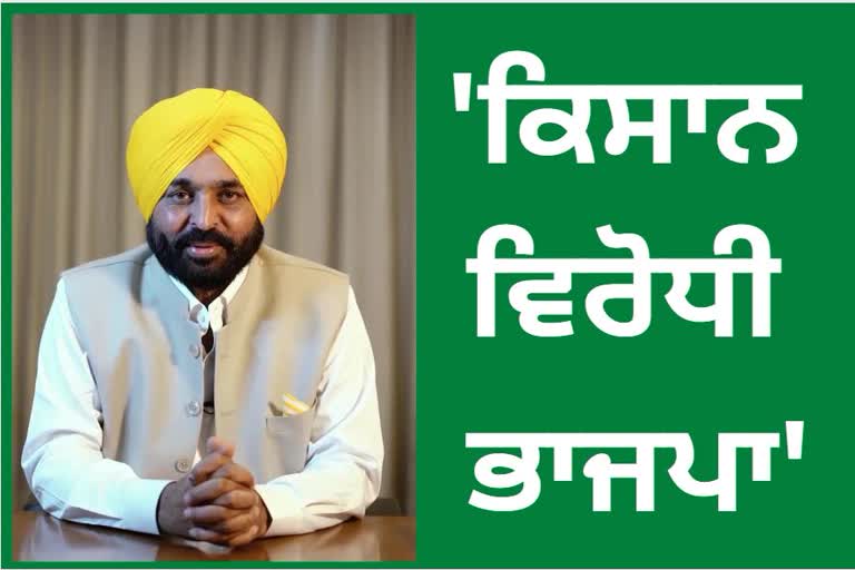 Press conference of CM Bhagwant Mann