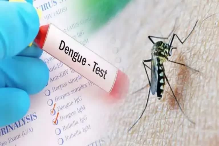 Dengue in Hooghly