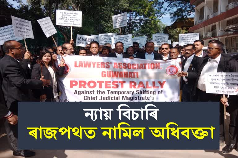 Lawyers union protest