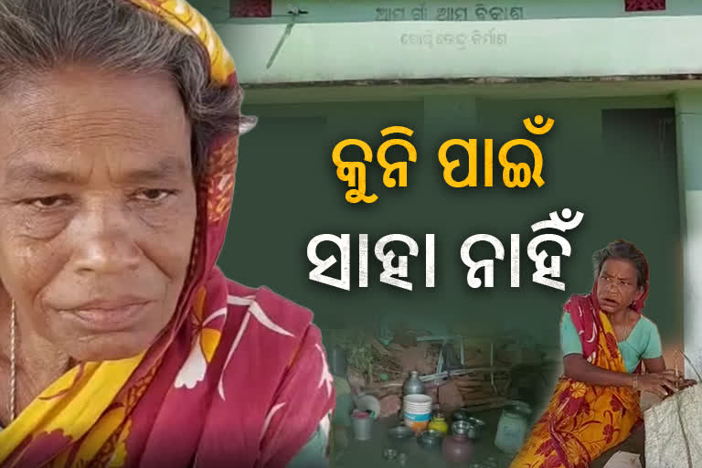 ଯୋଜନାଠୁ ଯୋଜନ ଦୂରରେ କୁନି