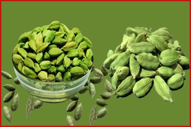 Benefits of True Cardamom