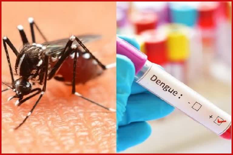 dengue symptoms