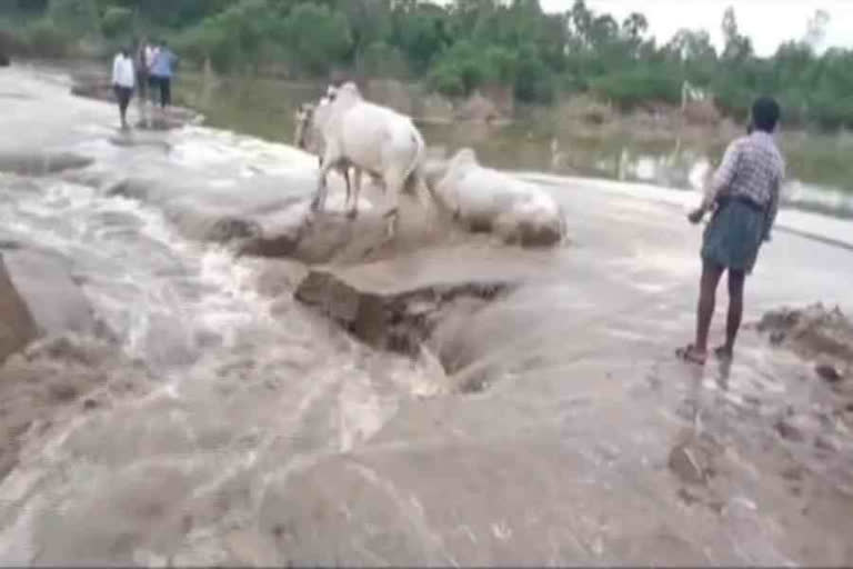 Collapsed Causeway over Penna River