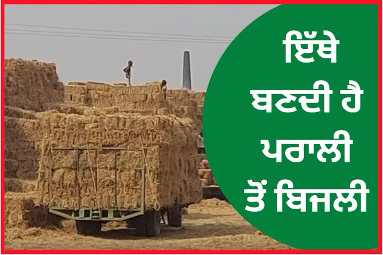 Straw generates electricity in Bir village