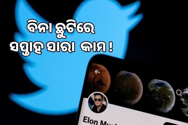 Elon to Twitter Employees: ଦିନକୁ ୧୨ଘଣ୍ଟା ଓ ସପ୍ତାହ ସାରା କାମ, ପାଟି ଖୋଲିଲେ ଚାକିରିରୁ ବହିଷ୍କାର