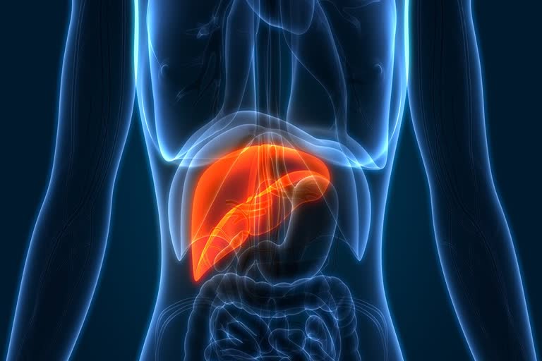 Symptoms of fatty liver disease causes and its treatment