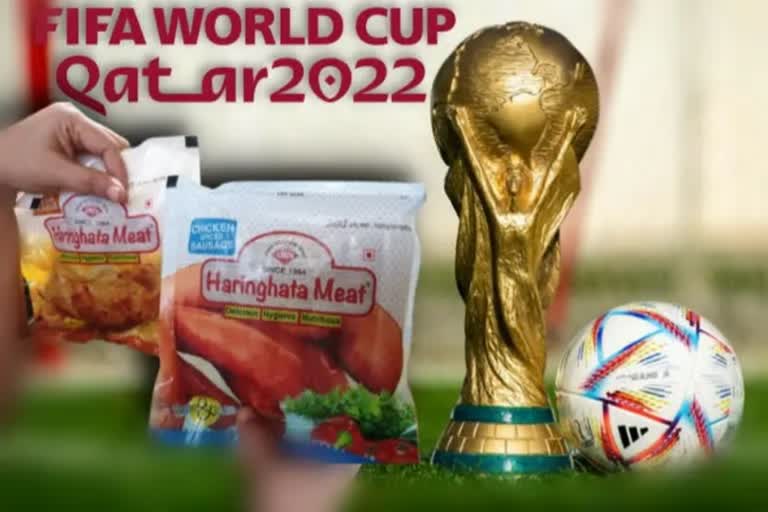 FIFA  World Cup  Qatar  Kolkata  Bengal  World cup is relishing with the meat  meat export  ഖത്തറില്‍ നടക്കുന്ന ഫിഫ ലോകകപ്പിന്‍റെ  മാംസം  ഇന്ത്യ  ഇന്ത്യയില്ലാതെ  ഫുട്‌ബോള്‍ ലോകകപ്പ്  ഫുട്‌ബോള്‍  ലോകകപ്പ്  ഖത്തര്‍  കൊല്‍ക്കത്ത  ആട്ടിറച്ചി  ഹരിംഘട്ട