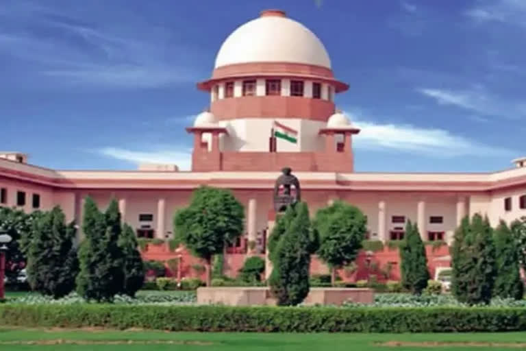 SC to examine provision empowering EC to remove, reduce period of disqualification of lawmakers