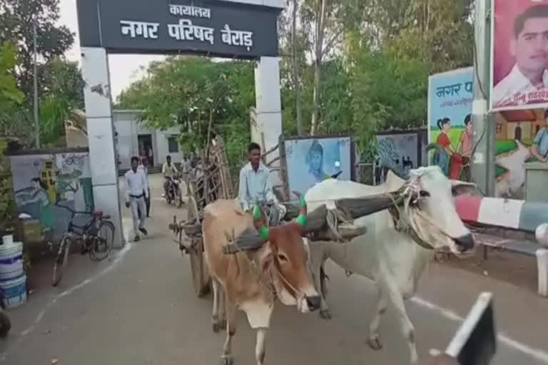 RTI activist reached at office by bullock cart