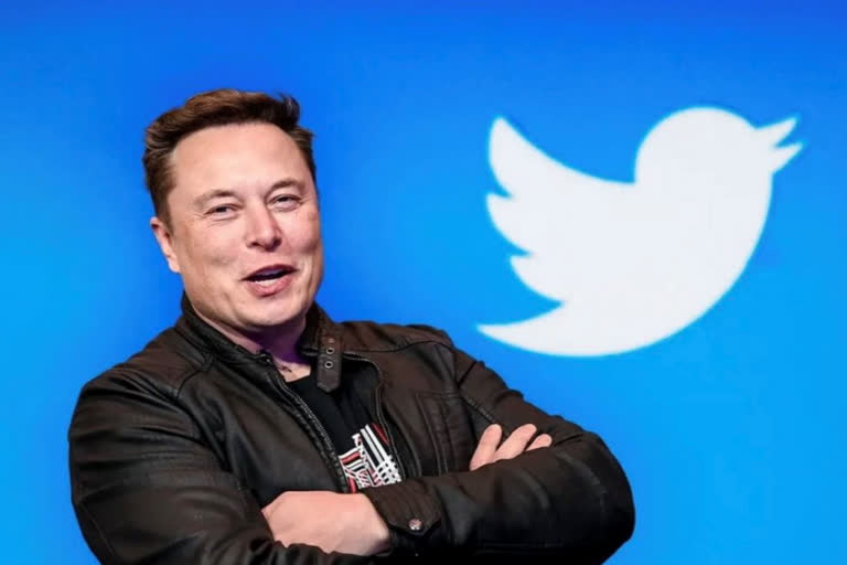 twitter  elon musk  twitter india  Twitter lays off workers  ഇലോണ്‍ മസ്‌ക്  ട്വിറ്റര്‍  ട്വിറ്റര്‍ കൂട്ടപ്പിരിച്ചുവിടല്‍  ട്വിറ്റര്‍ ഇന്ത്യ