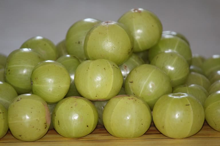 Amla News