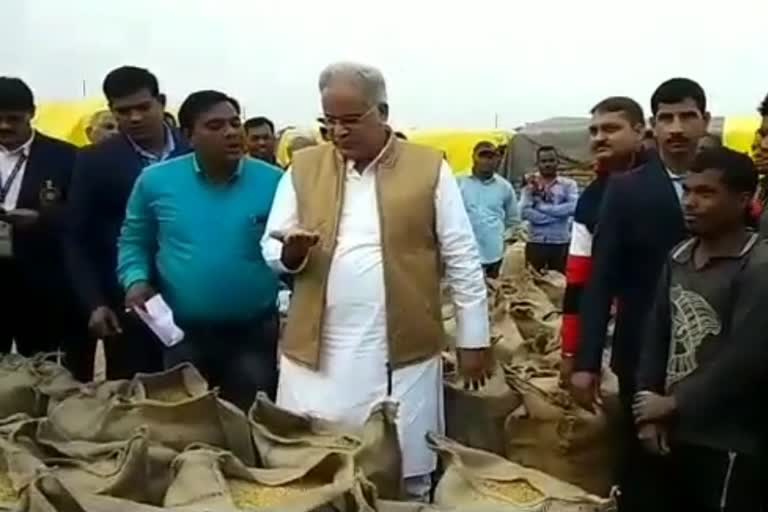 importance of paddy in chhattisgarh politics