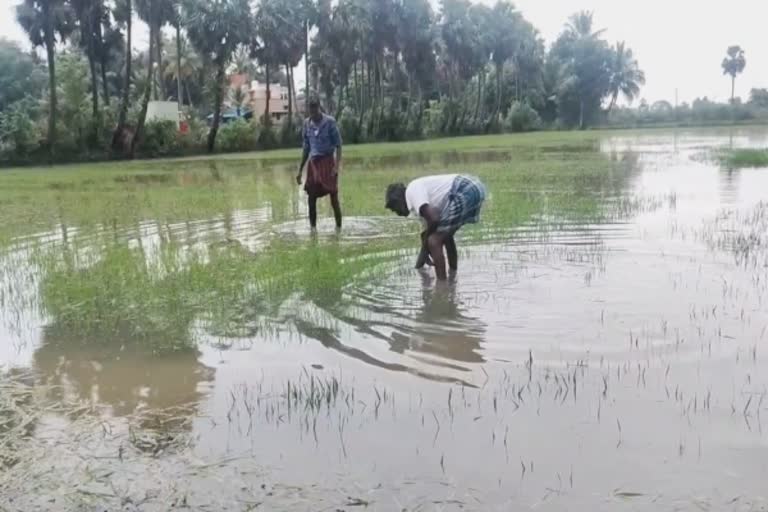 கொட்டி தீர்த்த கனமழை