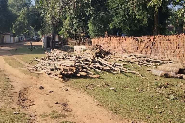 Illegal felling of forest in kondagaon