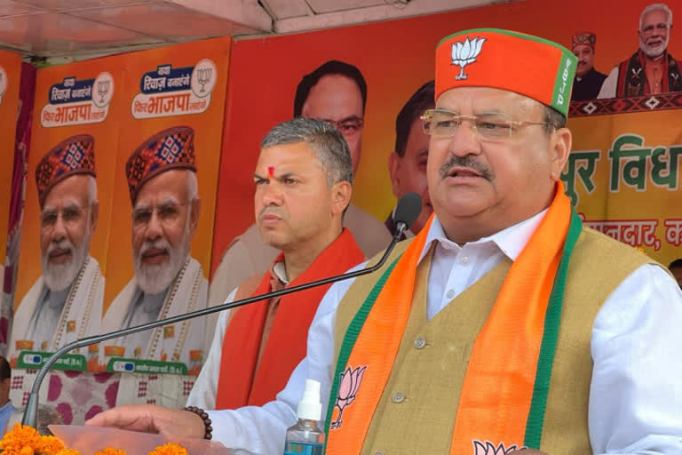 Nadda holds roadshow for BJP candidate in Shimla