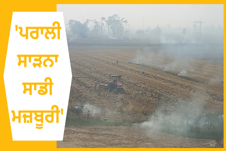 increasing cases of stubble burning in Ludhiana