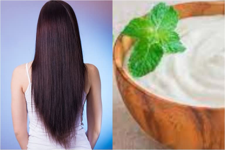 Have a look at the Top 10 miraculous benefits of yogurt for a bouncy skin  and lustrous hair
