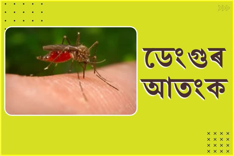 Dengue becoming severe in Assam