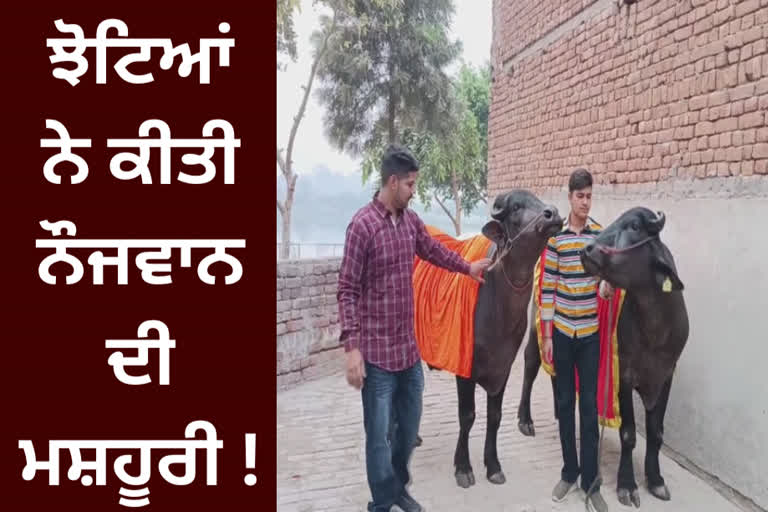 A young man is earning lakhs by selling animal manure at Bathinda