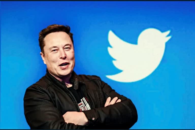 elon musk warning on parody as accounts