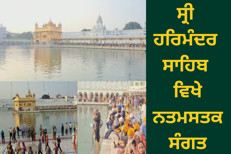 Sangat paid obeisance at Sri Harmandir Sahib