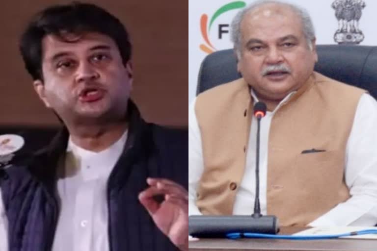 jyotiraditya scindia Vs narendra singh tomar