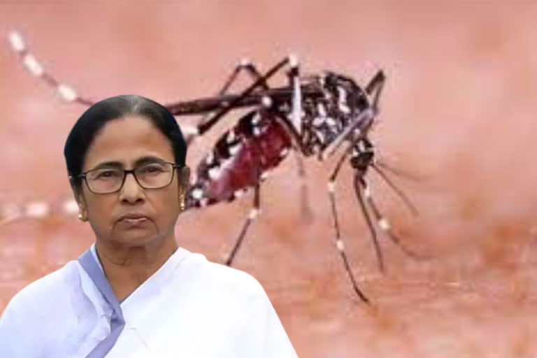 expert-team-to-visit-districts-to-supervise-dengue-situation-on-mamata-banerjee-order