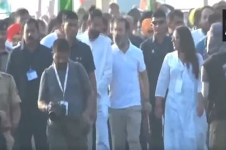 Rahul Gandhi along with party leaders & workers resumes 'Bharat Jodo Yatra' from Nanded in MaharashtraEtv Bharat