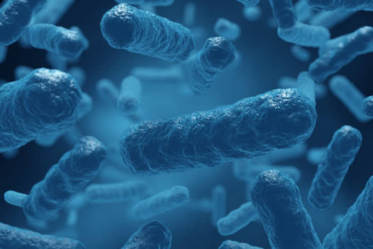 Oxford study provides important insights into TB correlates of protection