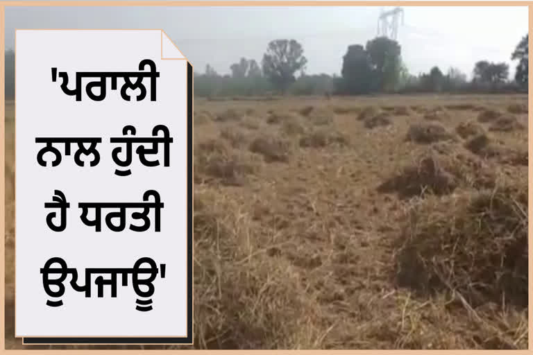 The matter of not burning straw  IN  Pathankot