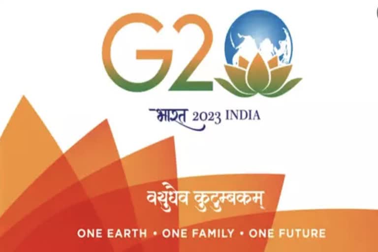 g 20 logo