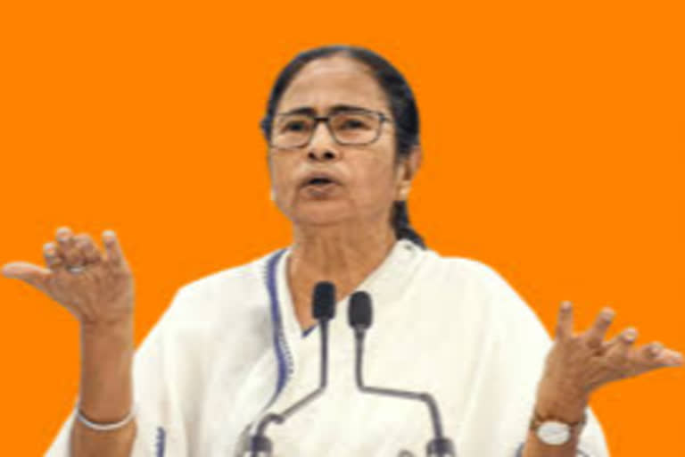 BJP 'using' CAA with eye on Gujarat polls: Mamata