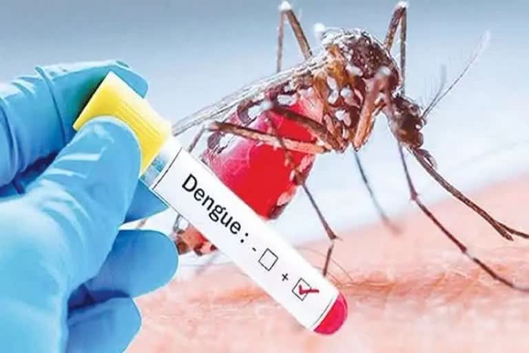 Dengue in Howrah