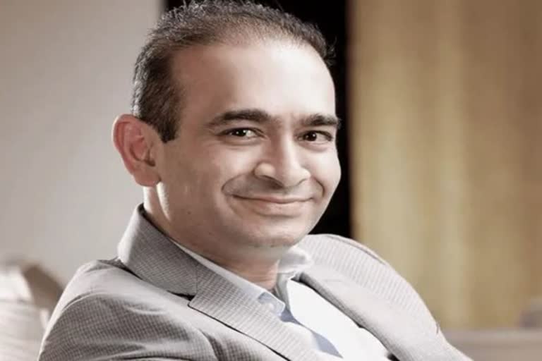 nirav modi