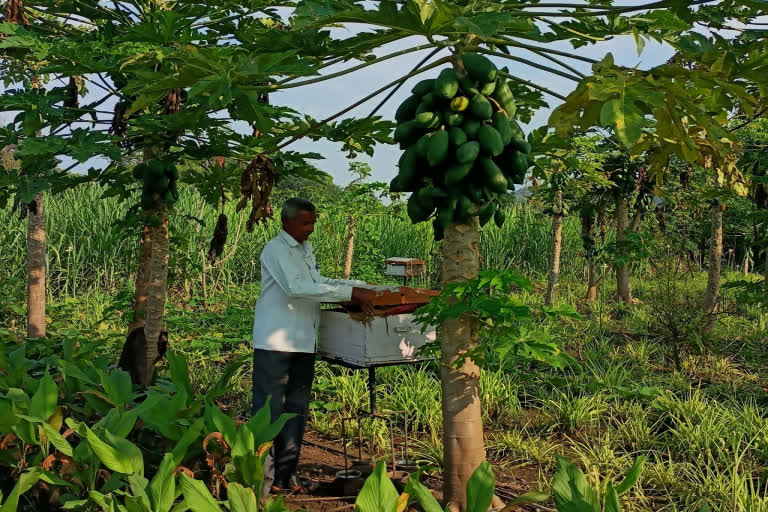 regenerative agriculture