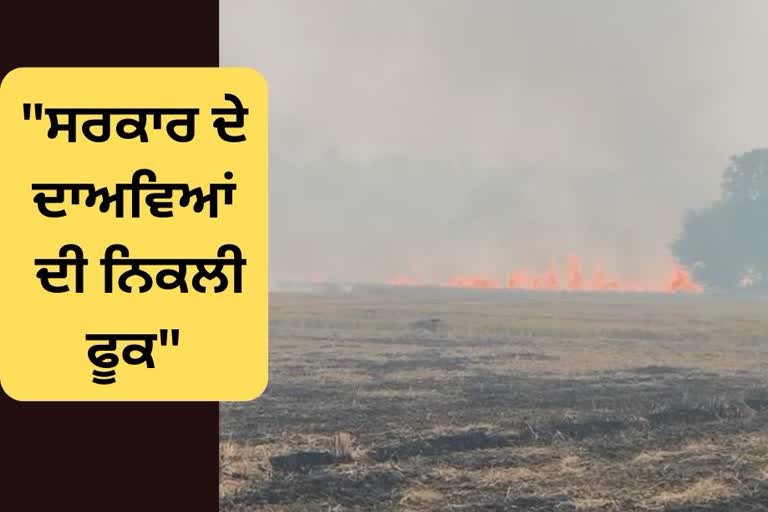 Moga Stubble Burning case