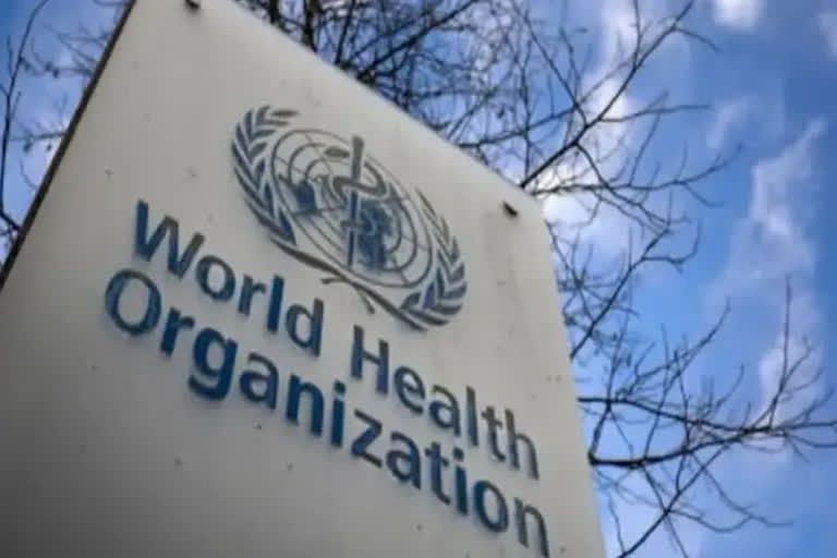 WHO reports 90% drop in world COVID-19 deaths since February