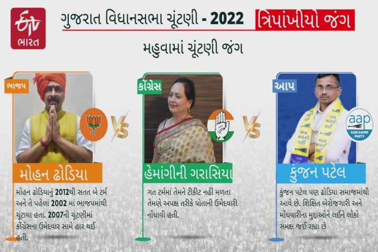 જોવા જેવી ચૂંટણીની જંગ : ત્રણેય પક્ષમાં એક જ સમાજના ઉમેદવાર, કોણ મારશે બાજી?