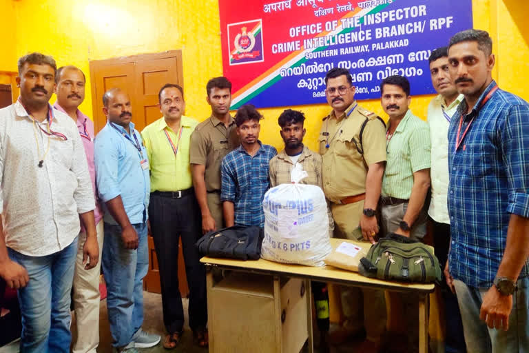 Odisha natives arrested with Cannabis  Odisha natives arrested  Odisha natives arrested from Palakkad  Cannabis seized from Palakkad railway station  കഞ്ചാവുമായി ഒഡിഷ സ്വദേശികൾ പാലക്കാട് അറസ്റ്റിൽ  ഒഡിഷയിലെ മുനിഗുഡ  ആർപിഎഫ് ക്രൈം ഇന്‍റെലിജൻസ്  പാലക്കാട് എക്‌സൈസ് ആന്‍റി നാർകോട്ടിക് സ്‌ക്വാഡ്  കഞ്ചാവ്  ആർപിഎഫ്