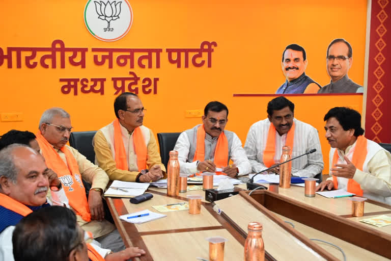 MP BJP core committee