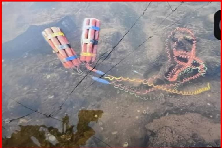 Gelatin stalks in Bhogavati river