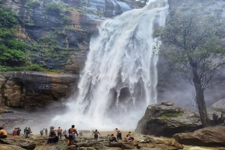 கொல்லிமலை நீர்வீழ்ச்சிக்கு செல்ல சுற்றுலா பயணிகளுக்கு தடை